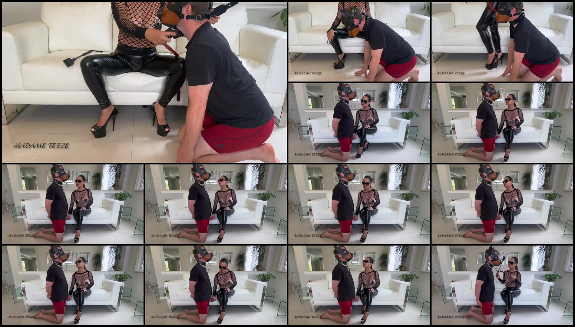 MadameTeeze - Puppy Milking Reward-Femdom
